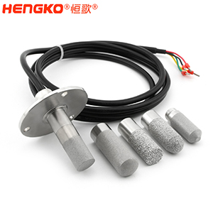 恒歌-濕度一體式探頭DSC_4758